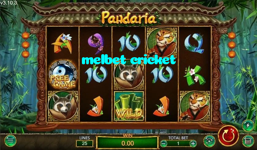 available types of melbet cricket bet including pre-match live express and system bets